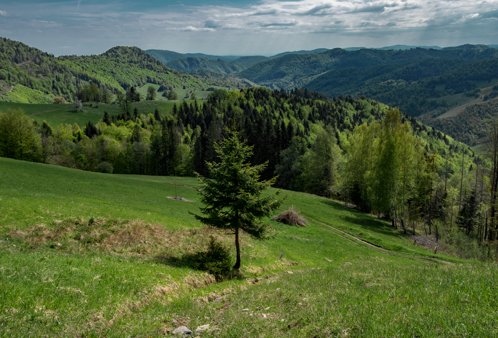 muranska planina