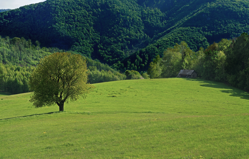 muranska planina